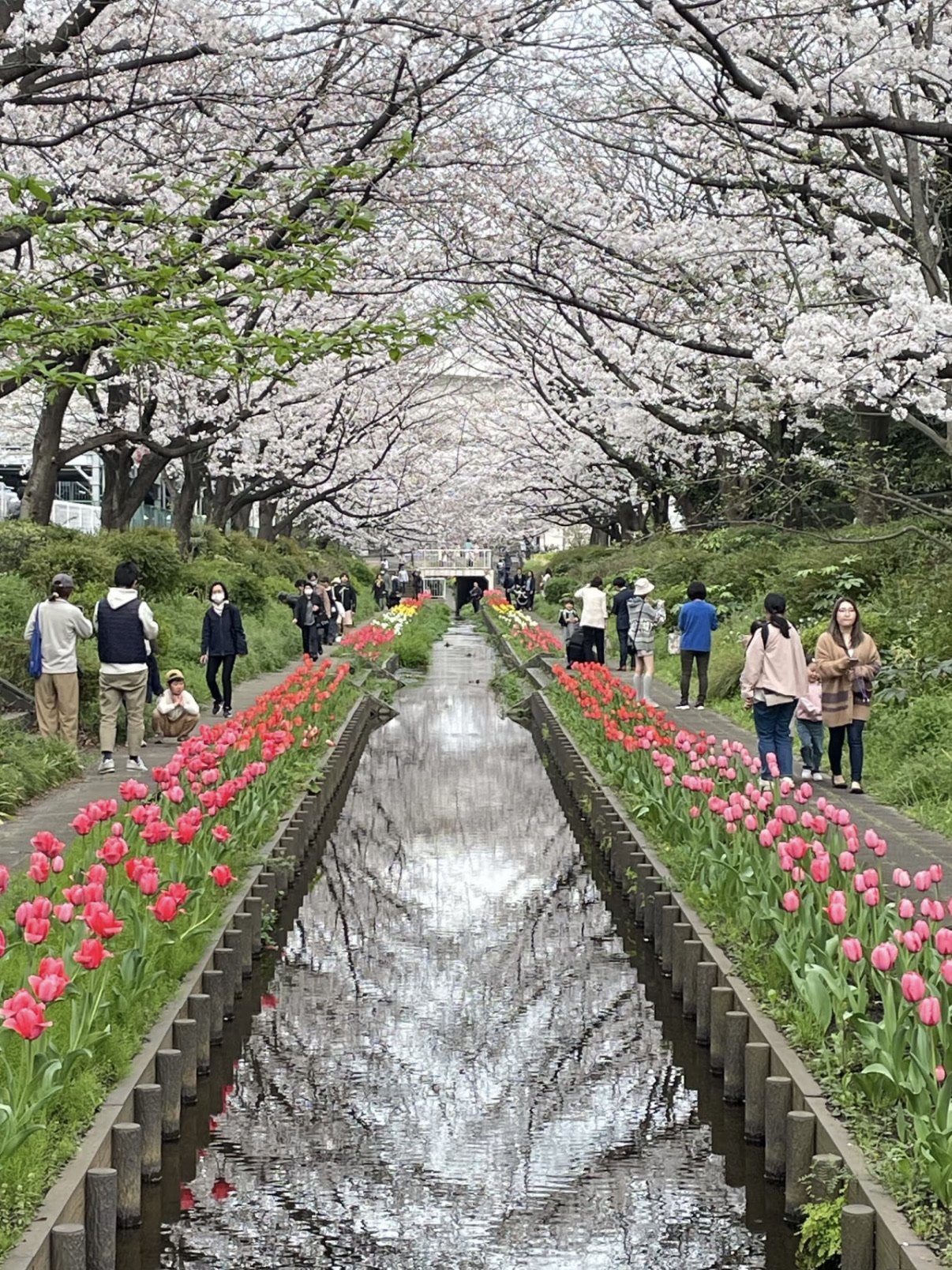 🌳 오노 극락사 공원(오노고쿠라쿠지코엔)